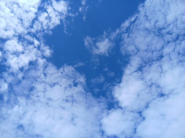 中秋の名月（十五夜）